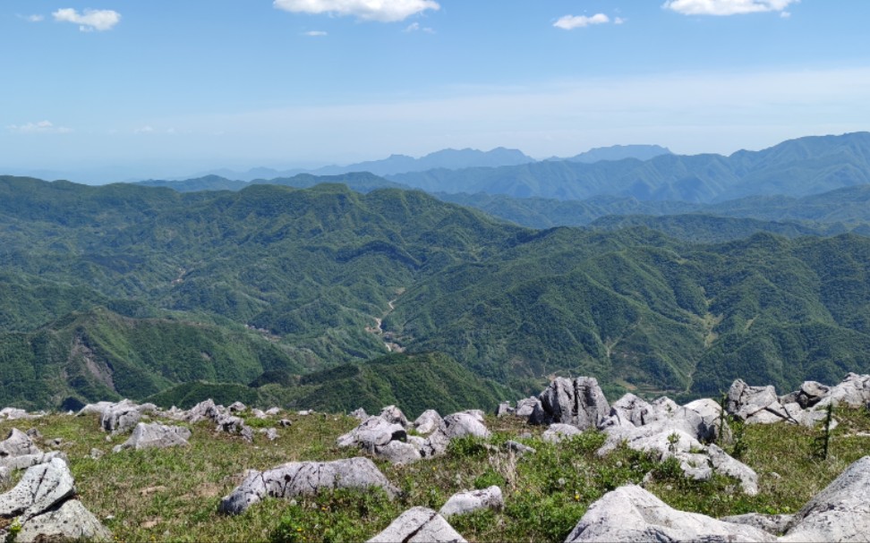 活动  陕西镇安县北阳山