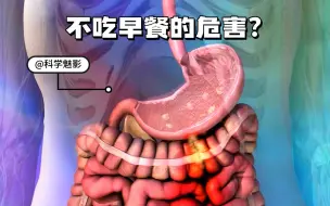 Video herunterladen: 长期不吃早饭，你的身体会受到哪些伤害？