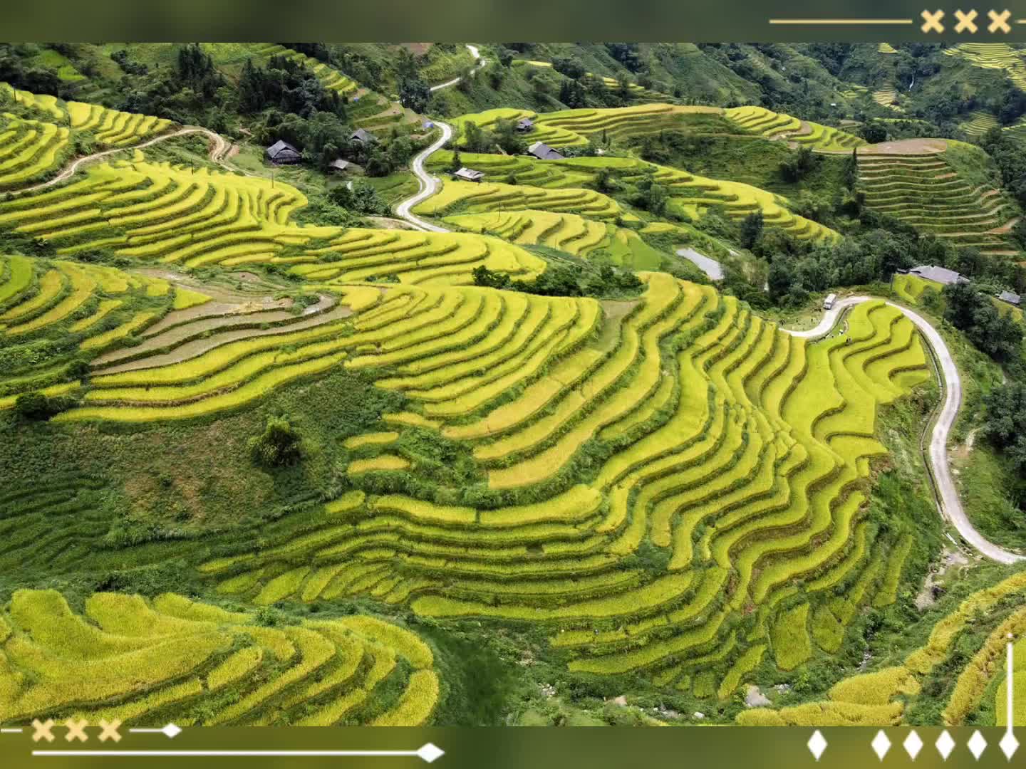 龙脊梯田图片风景图片图片