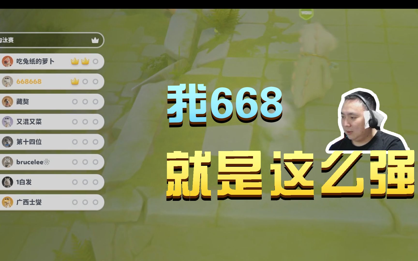 动物派对:我668 就是这么强哔哩哔哩bilibili