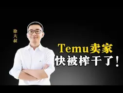 Download Video: TEMU卖家的出路在哪里？