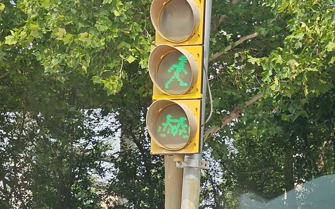 济南的红绿灯可太有意思啦