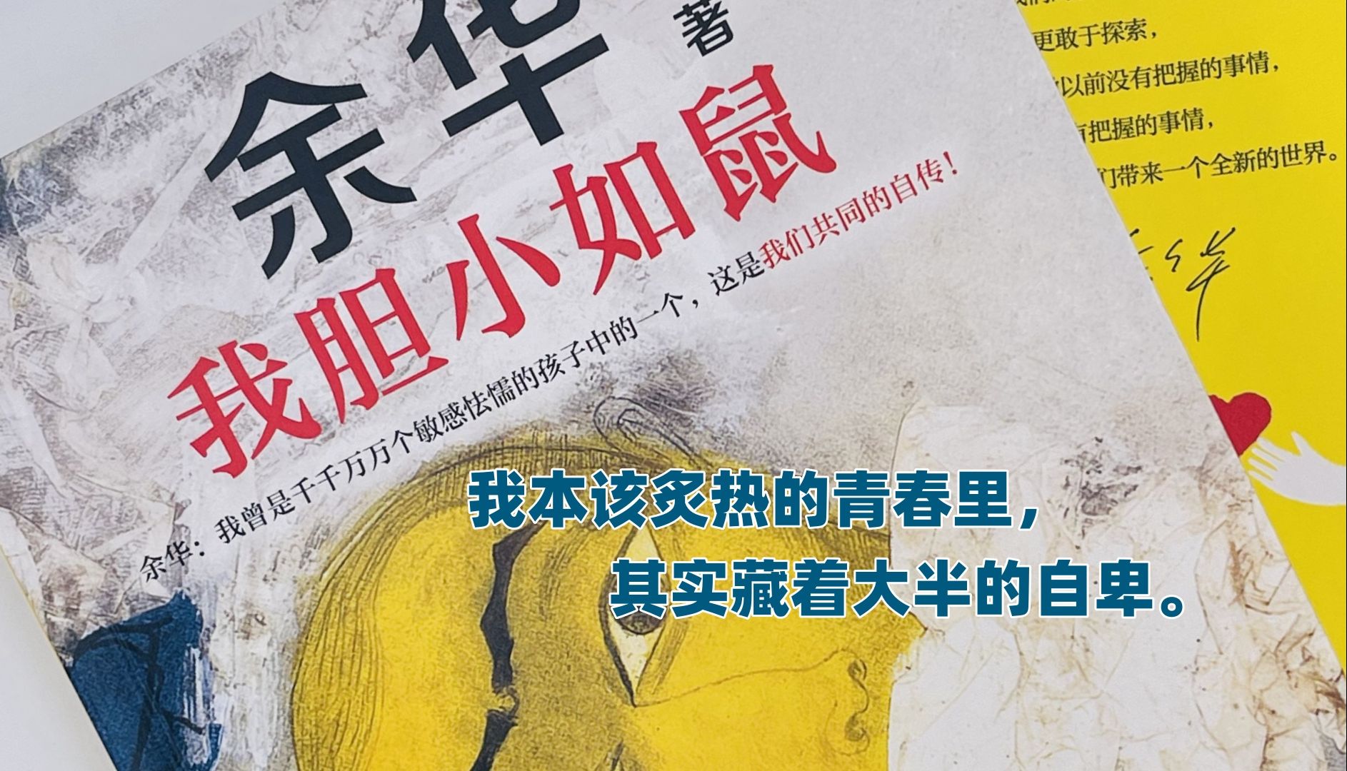 《我胆小如鼠》在青春的疼痛中寻找希望