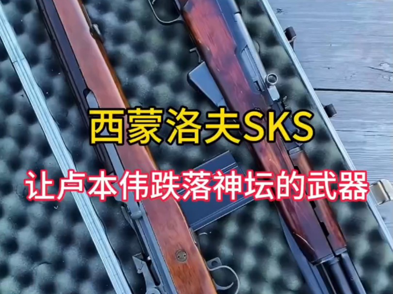 让卢本伟被封的武器,西蒙洛夫SKS#军事科普 #武器科普 #卢本伟哔哩哔哩bilibili