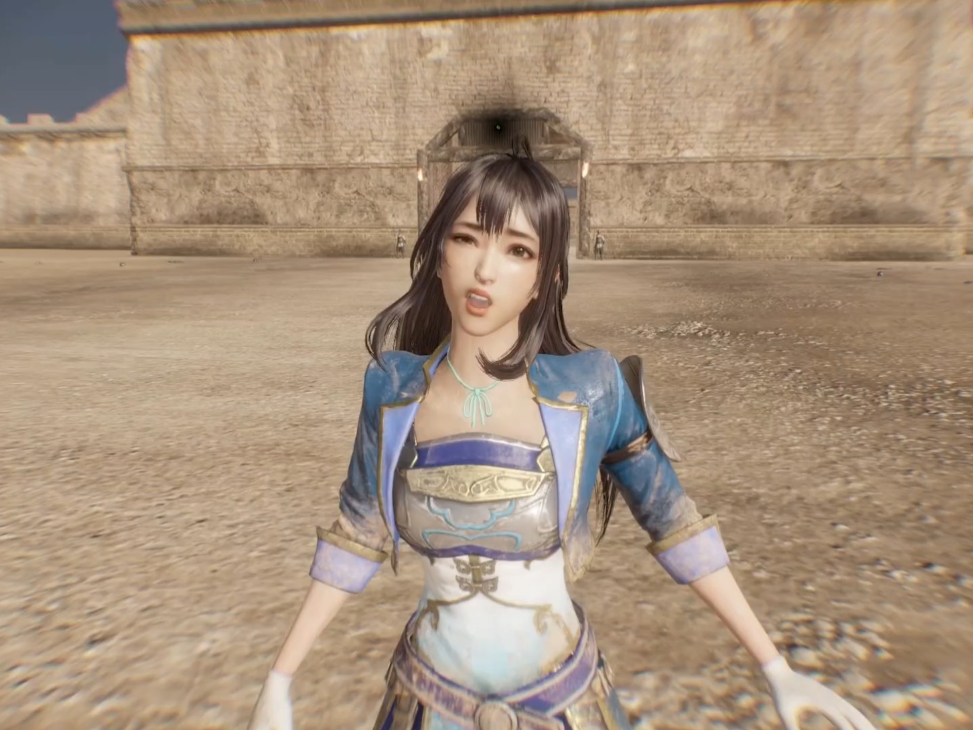 真三国无双辛宪英无惨