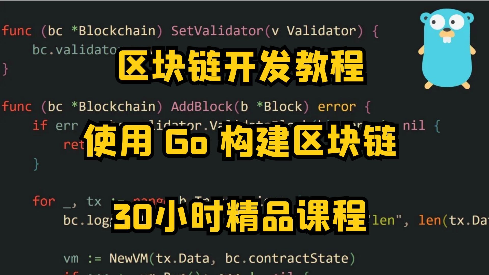 【区块链开发】使用 Golang 从零开始构建区块链(34小时超详细课程)哔哩哔哩bilibili