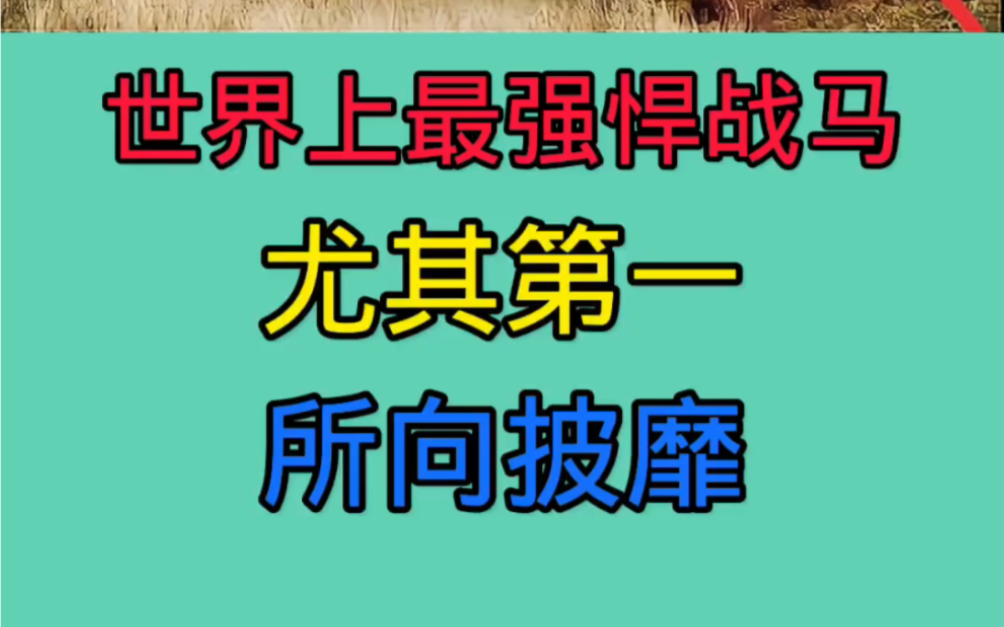 世界上最强悍的十种战马,尤其第一所向披靡,你猜是谁第一马#科普 #冷知识 #涨见识哔哩哔哩bilibili