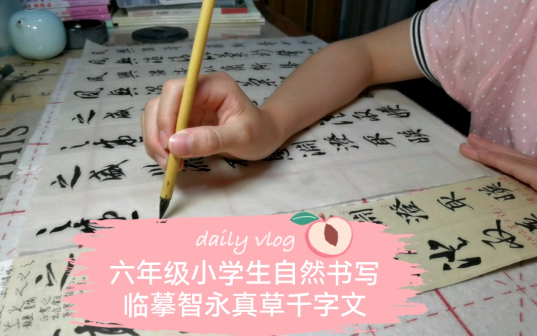 [图]智永真草千字文六年级小学生临摹