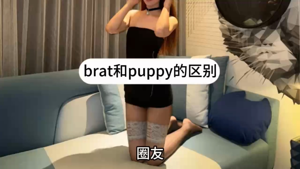 brat和puppy的区别在哪?(小白必看)哔哩哔哩bilibili