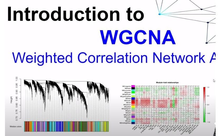 WGCNA极速入门, 功能富集分析, RNASeq分析, TCGA分析哔哩哔哩bilibili