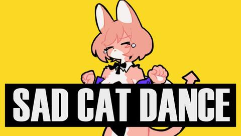 meme/赠】sad cat dance_哔哩哔哩_bilibili