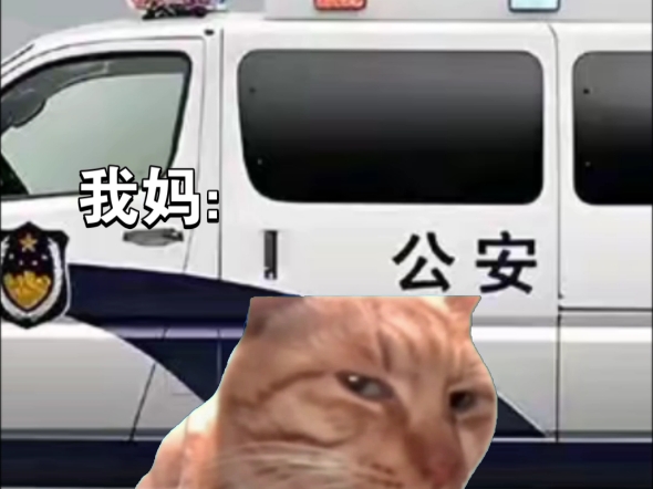 警车封面太好看哔哩哔哩bilibili