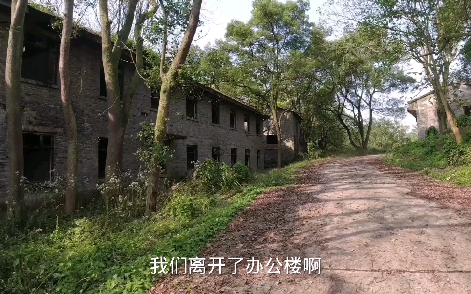 在重庆一个山沟里遗弃着大量住宅楼,曾经住着上万人,而今落寞了哔哩哔哩bilibili