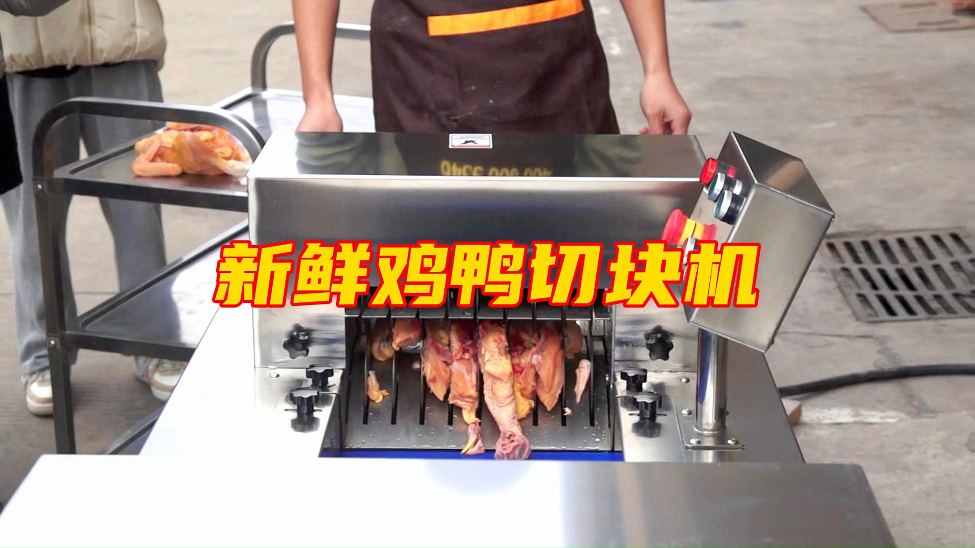 新鲜鸡鸭切块机一次性切鸡块鸭块鱼块设备预制菜加工机器