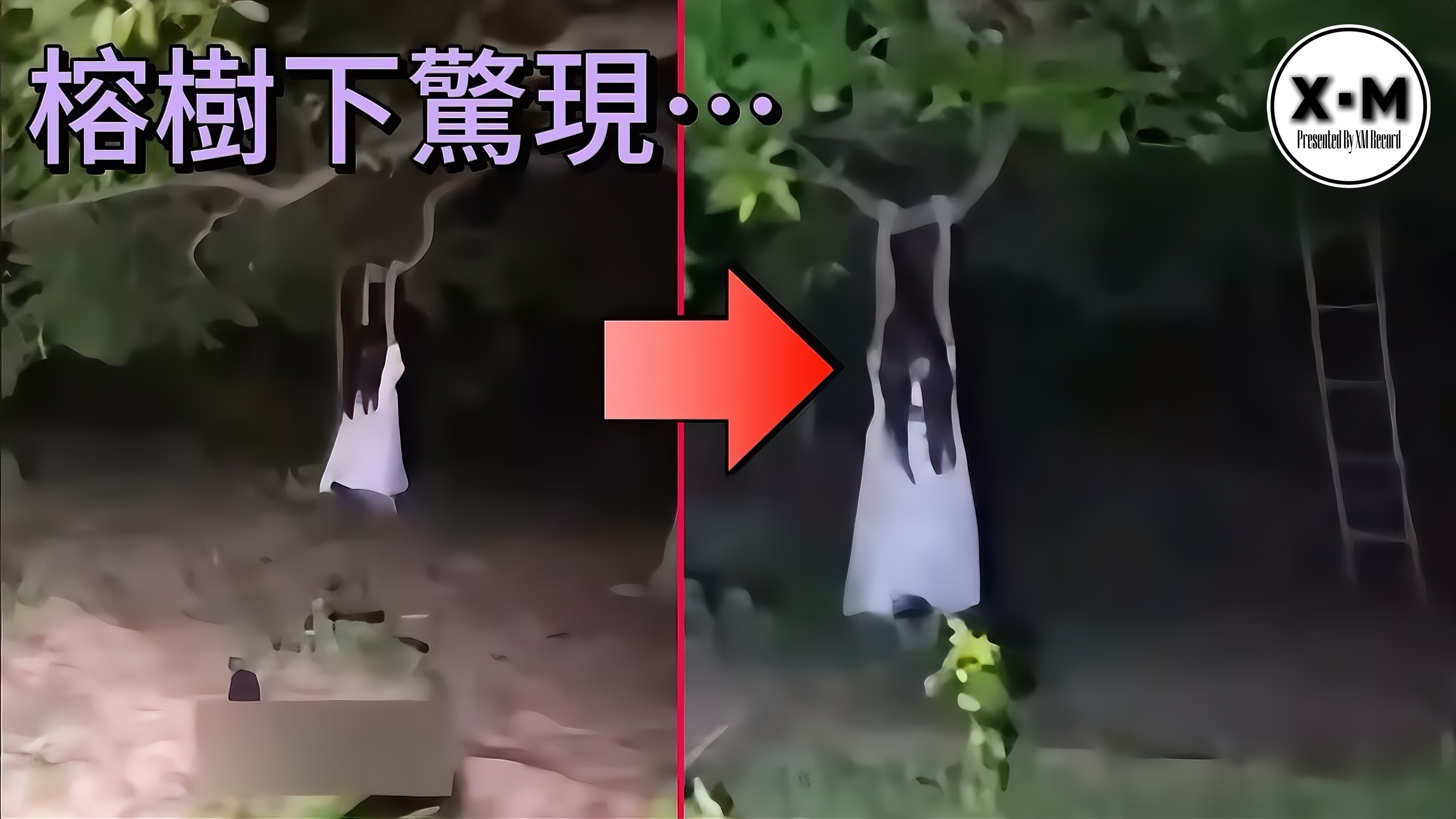 榕树下惊现倒挂女鬼!12个让人吓到魂飞魄散的灵异恐怖影片!