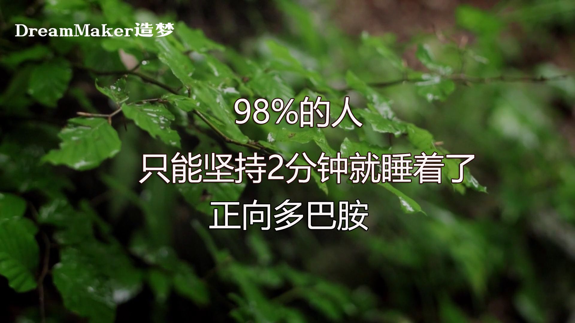 超长60分钟助眠脑波 冥想瑜伽音乐提升专注力、促进放松或激发创造力 Beta波 → Alpha波 → Theta波 → Delta波哔哩哔哩bilibili