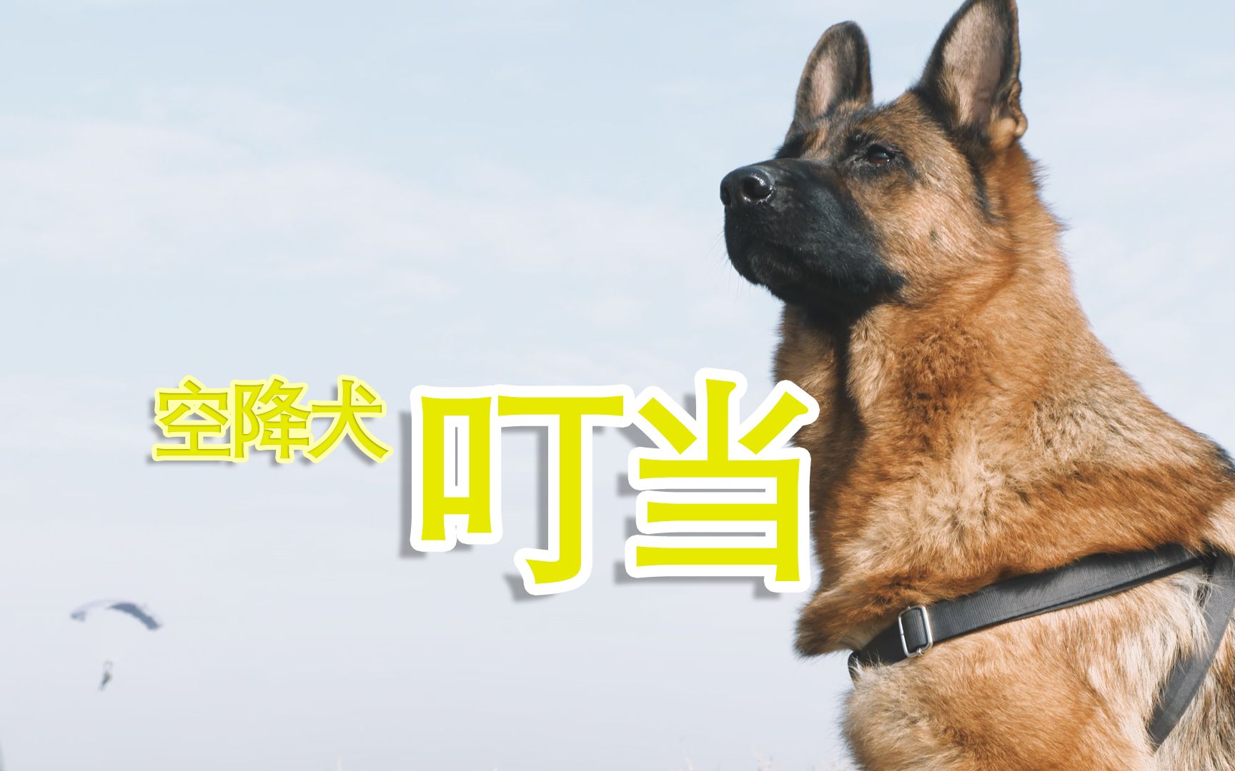 空降犬叮当
