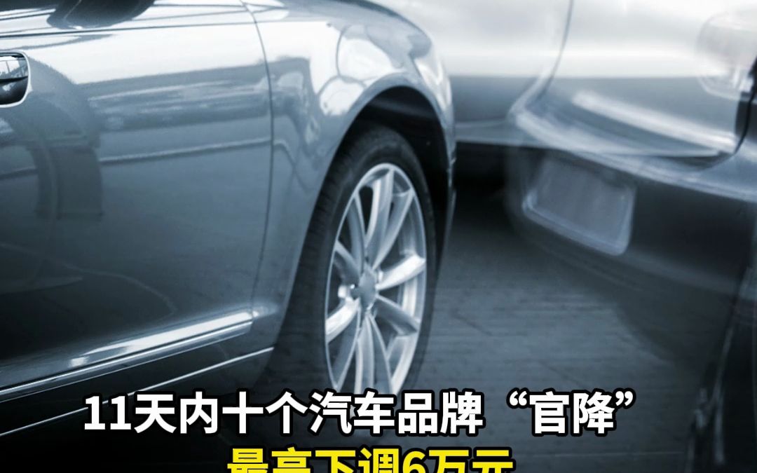 11天内十个汽车品牌“官降”最高下调6万元新一轮“价格战”已打响哔哩哔哩bilibili