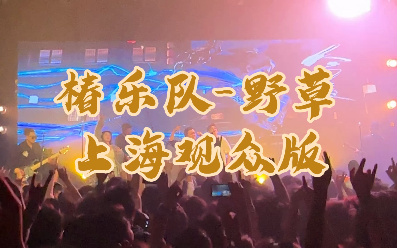 椿乐队『两手空空』巡演上海站|党骞钦点的高质量乐迷合唱《野草》