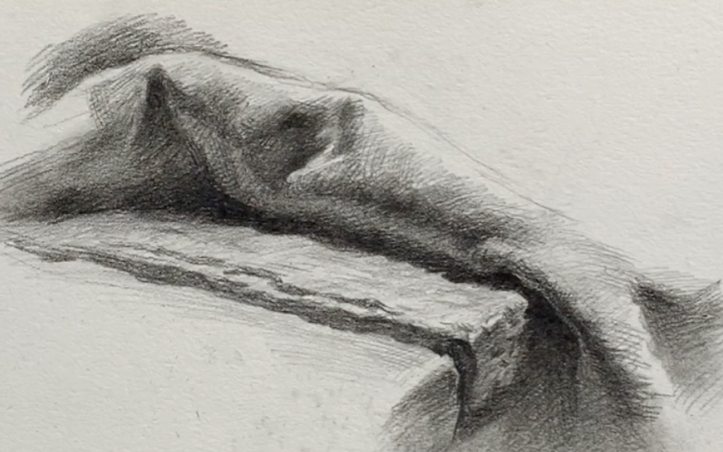 【素描静物】衬布