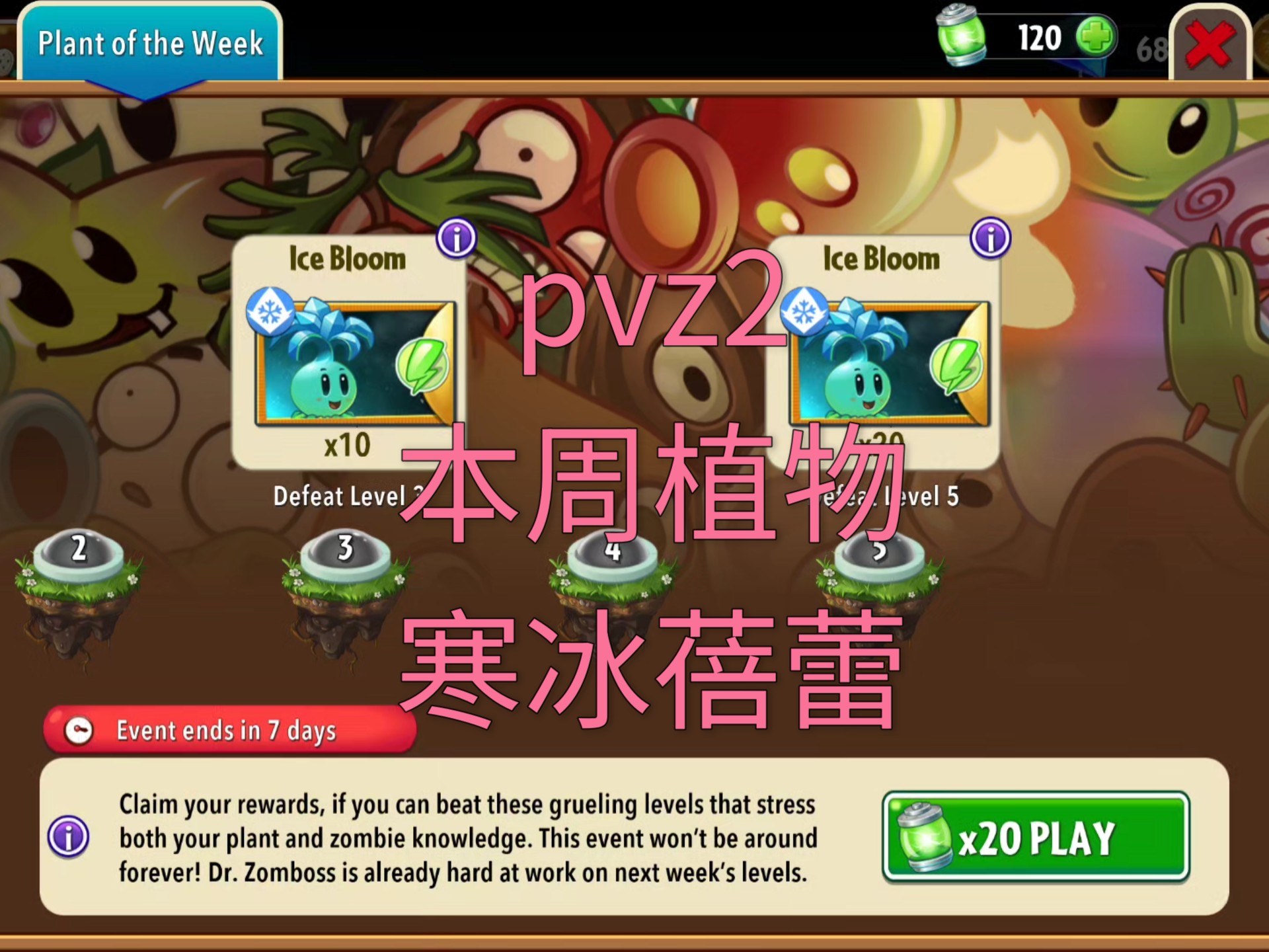 pvz2本周植物寒冰蓓蕾