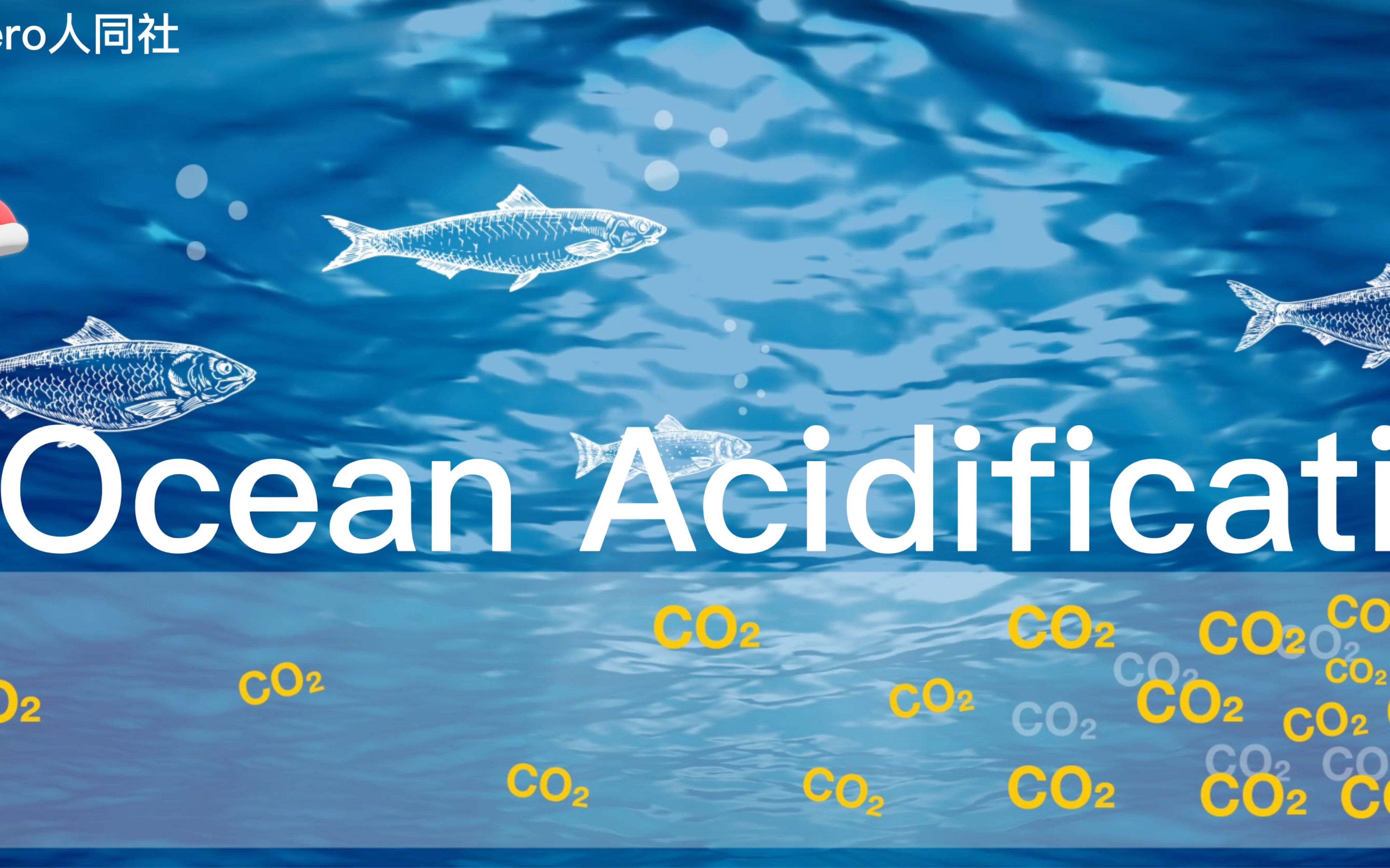 [图]「中英双语」海洋酸化 Ocean Acidification