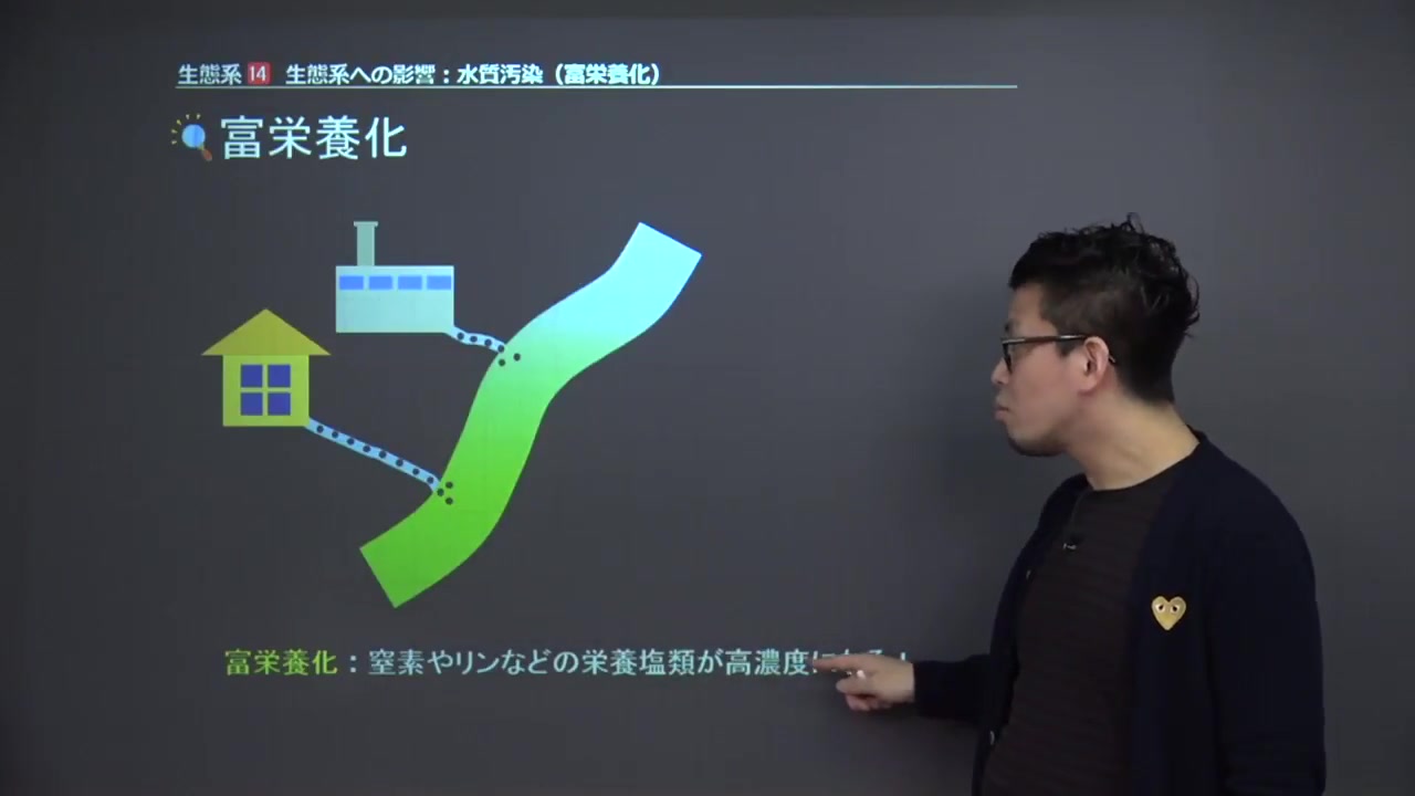 【日本中学生物】 生态系统的平衡与保护、生态系统的多样性哔哩哔哩bilibili