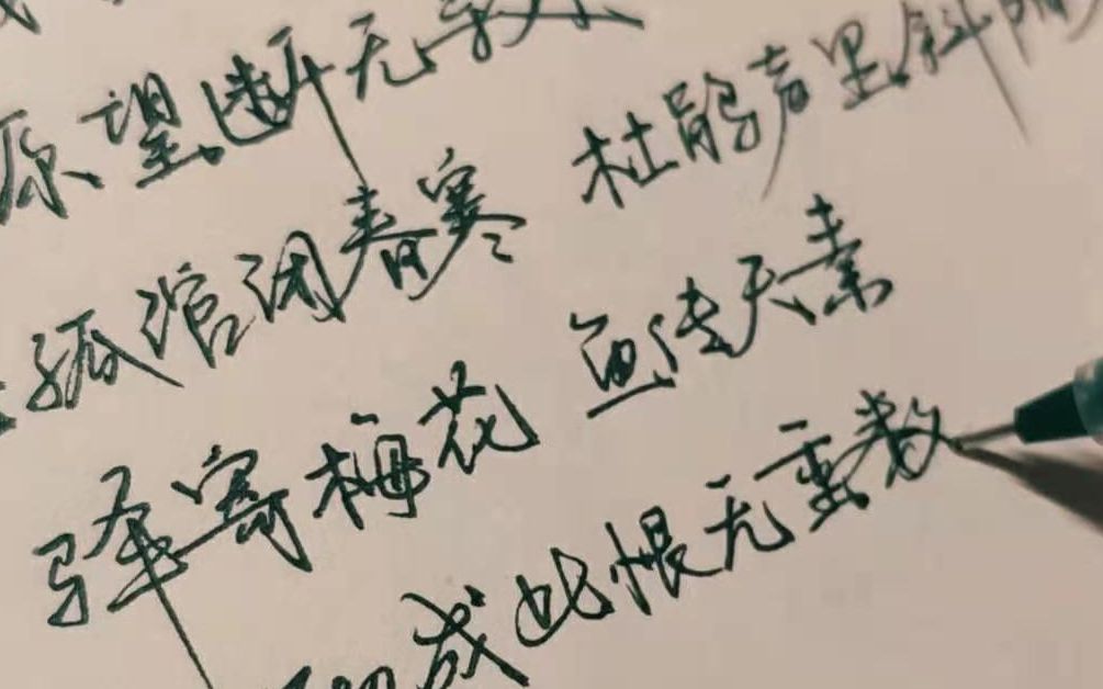 【手写x百乐p500】"驿寄梅花,鱼传尺素"