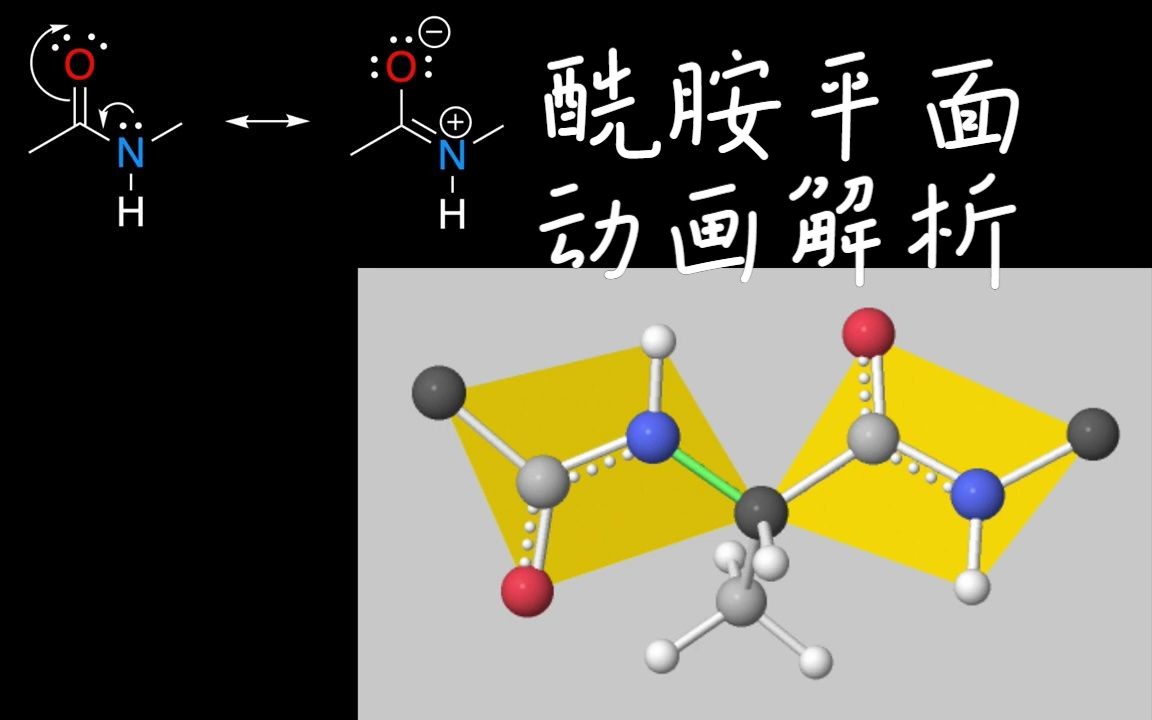 酰胺平面动画详解以及拉氏图(Ramachandran Plots),哔哩哔哩bilibili