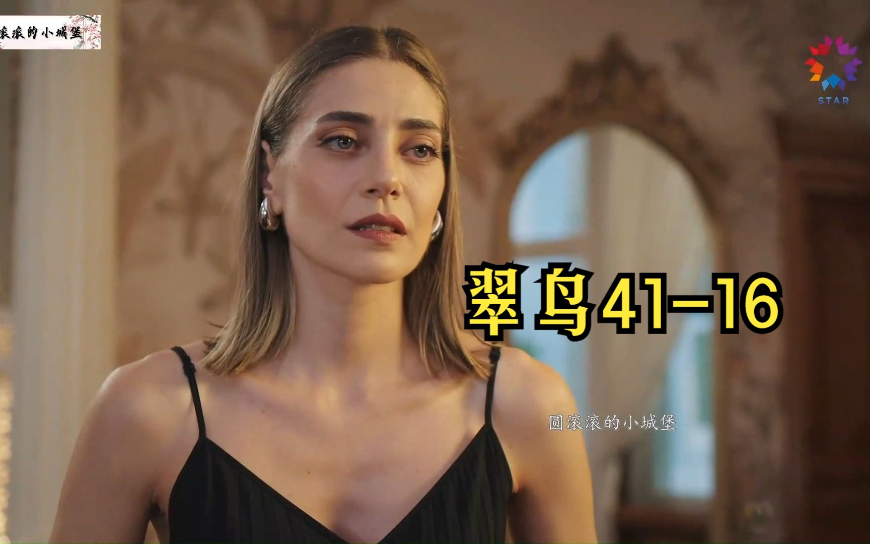【第41集中字】土耳其剧:翠鸟第二季 41-16