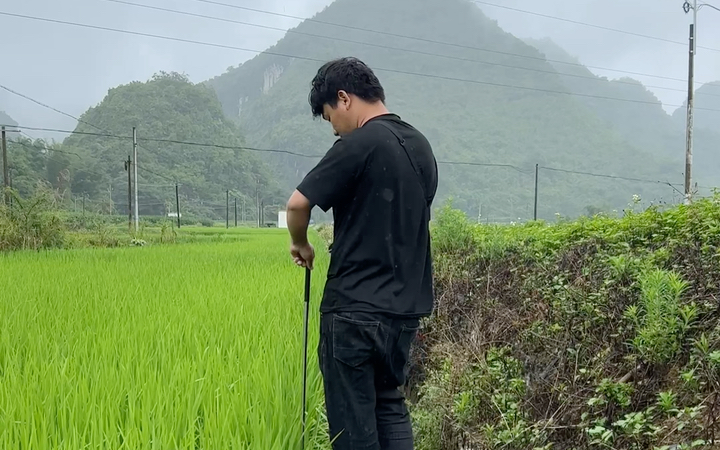 生活不止有眼前的风景,还有诗和远方的稻田哔哩哔哩bilibili