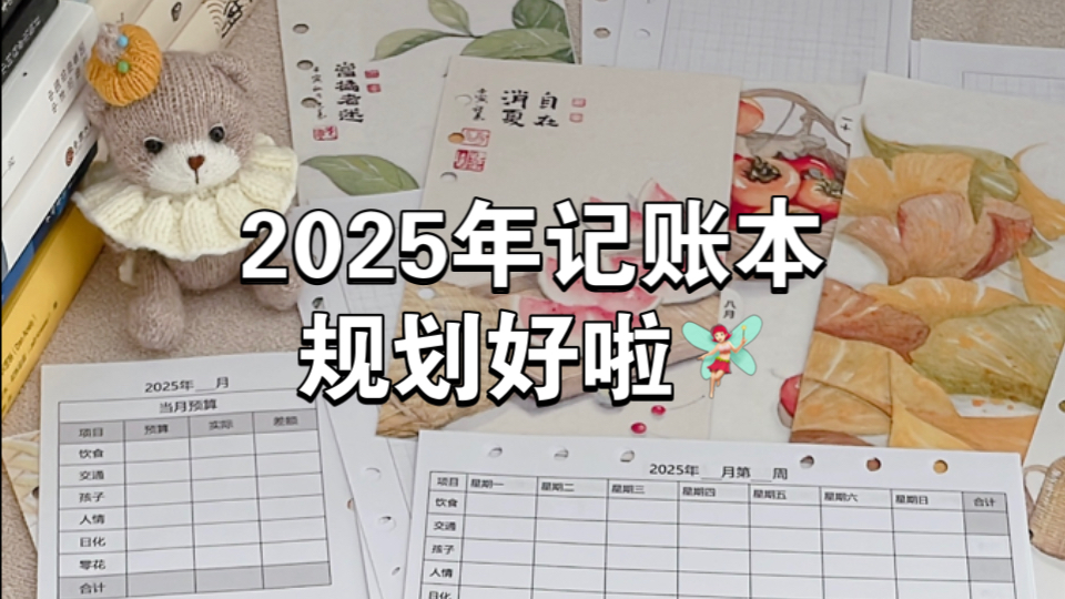 呦吼~2025年记账本规划好啦‼️继续好好存钱𐟒갟𛥓”哩哔哩bilibili