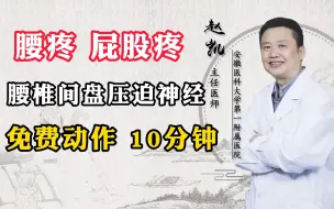 Descargar video: 腰疼 屁股疼，腰椎间盘压迫神经，免费动作 10分钟