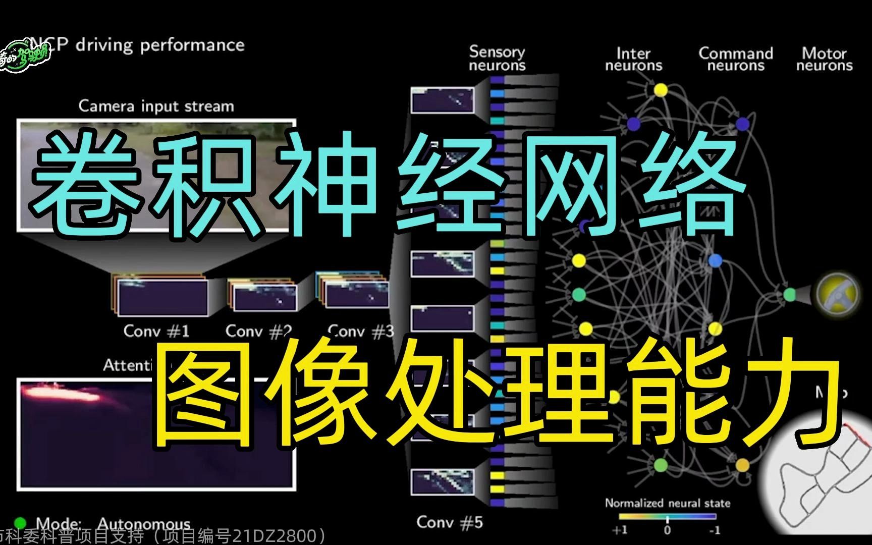 卷积神经网络简介哔哩哔哩bilibili