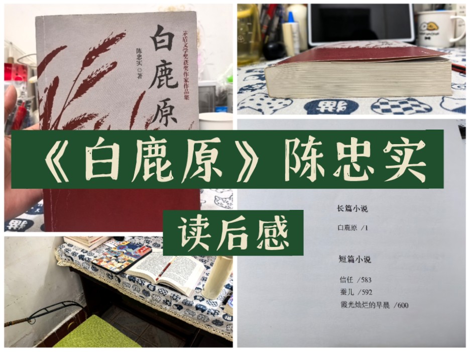 看一个民族历史变迁,窥见人性多样面.《白鹿原》读后感哔哩哔哩bilibili