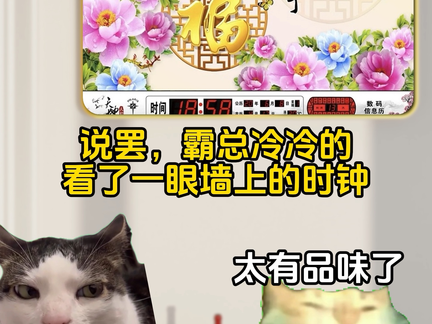 当小说里的霸总变成中式的#猫meme小剧场#鬼畜#搞笑#霸总文学-喵meme小剧场-喵meme小剧场-哔哩哔哩视频