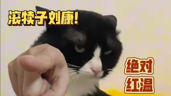 Download Video: 【MK1／真人快打1】猫猫阳间守护者心塞养娃史