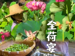 Download Video: 仲夏有约，以荷为宴，为荷而来！