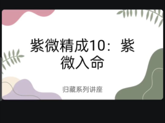 紫微精成10:紫微入命哔哩哔哩bilibili