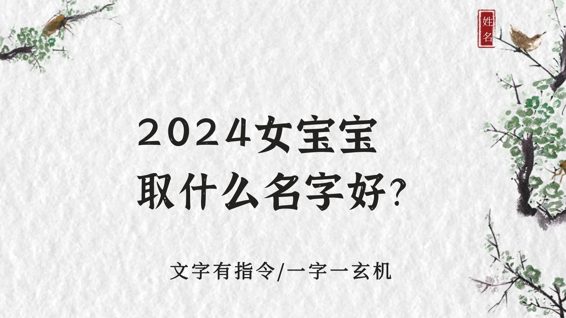 冠全派起名:2024年女宝宝取什么名字好?哔哩哔哩bilibili