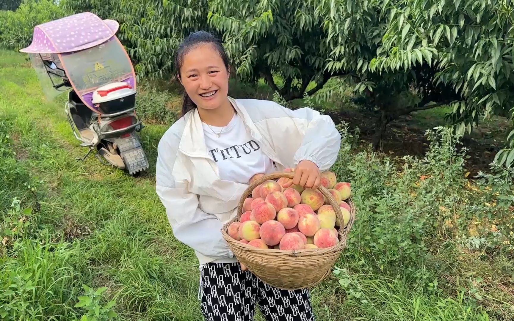 [图]村里的朱砂红桃熟了，媳妇去桃园摘一筐，给娘家寄过去尝尝鲜