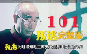 Download Video: 101阴谋败露仓皇出逃，不顾危险飞机强行起飞，最终机毁人亡