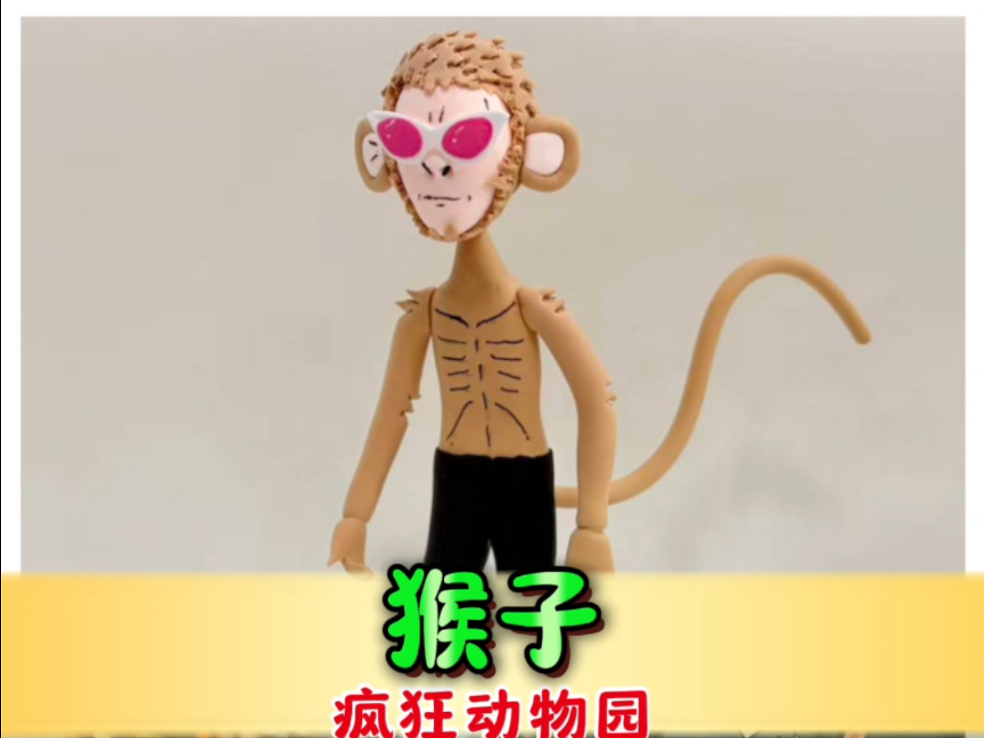 疯狂动物园 猴山里的猴子来了！