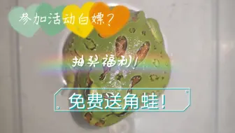 幸福吗 日本小学生发现蓝色青蛙 哔哩哔哩 Bilibili