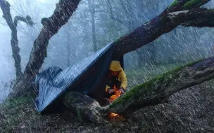 Download Video: 在持续了两天的暴雨中露营，听着雨声享受属于自己的时间