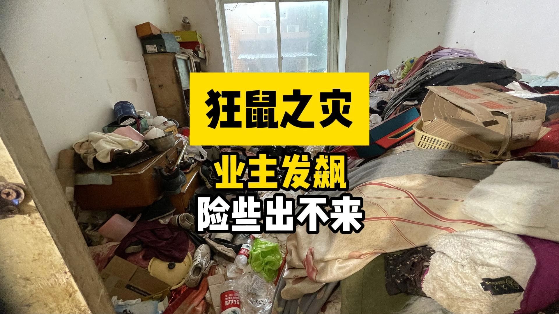 鼠鼠根本抓不完！难道这里就是黄风岭旧址？