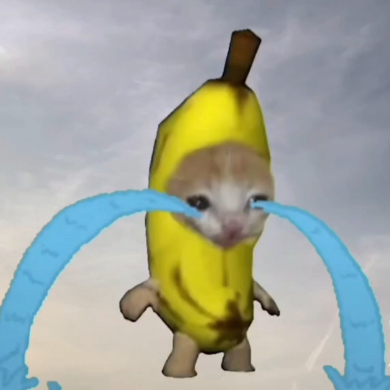 香蕉猫哭泣三小时