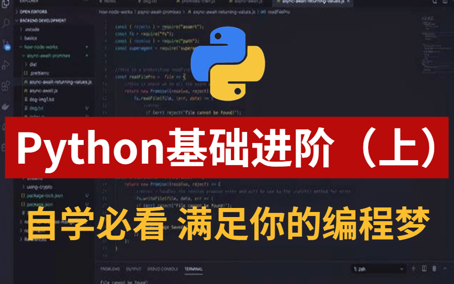 【Python进阶】翻遍全网整理的最系统的Python进阶实战教程(持续更新中)哔哩哔哩bilibili