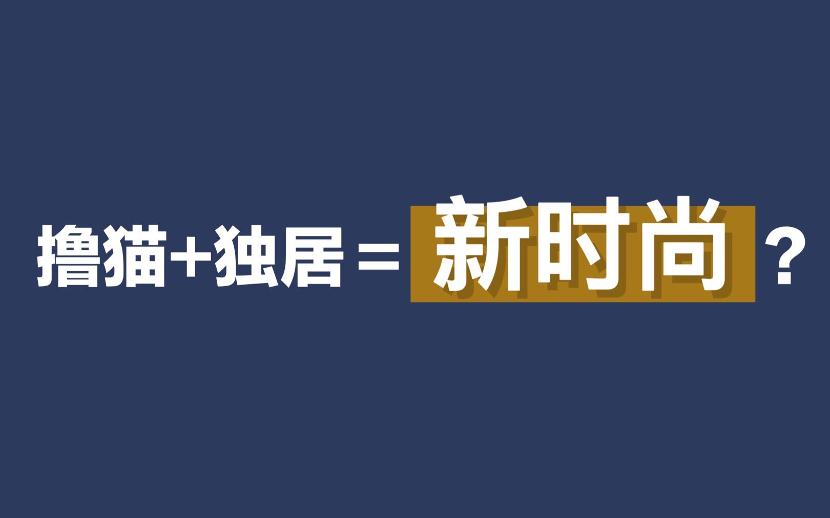 听说独居生活一时爽,一直独居一直爽?哔哩哔哩bilibili