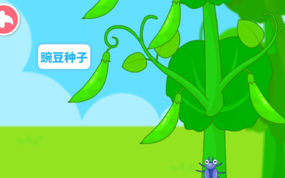 宝宝爱自然可观察植物的生长过程,可以了解种子的传播方式